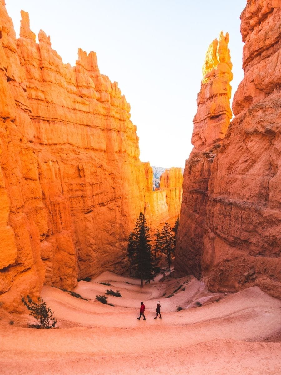 Hikers walking through Bryce Canyon hoodoos