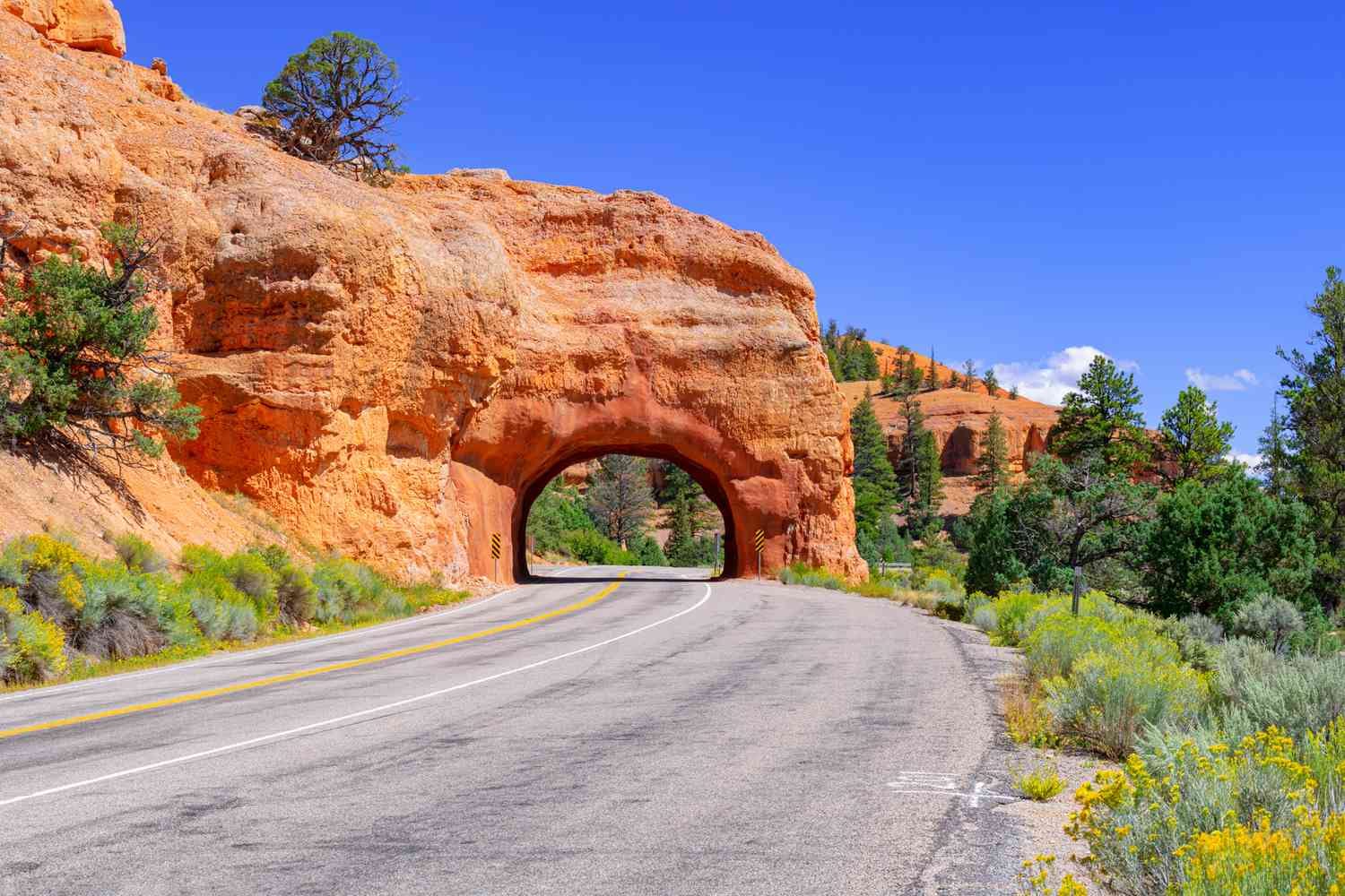 Scenic Drives & Day Trips